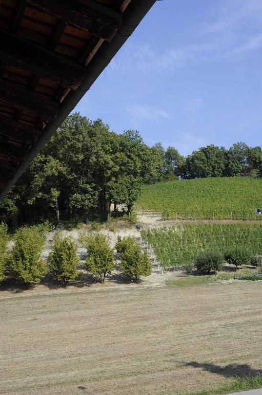 Agriturismo La Bioca Castiglione Falletto Exteriér fotografie